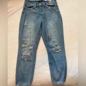 Judy Blue Distressed Light Blue Skinny Jeans
